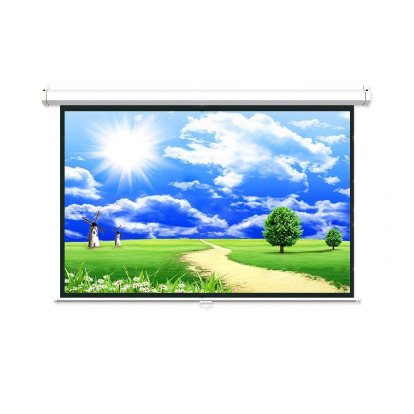 Màn chiếu treo tường Dalite PW150WS ( 3m05x2m29 ) - 150 inch